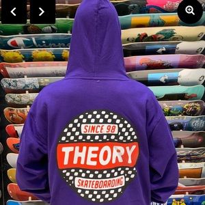 Theory Skateshop Storm Drain Hoodie in Purple